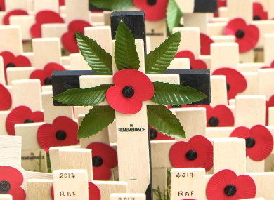 File Photo: Westminster Abbey Field of Remembrance in London, UK.