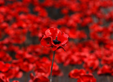 The poppy sculpture Wave at the Imperial War Museum North, in Manchester.
