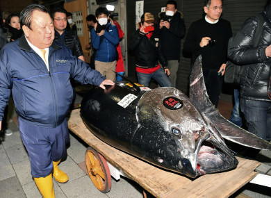 Kiyoshi 'Tuna King' Kimura stands beside the 278kg fish he just bought.