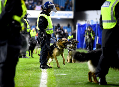 Police dogs on the pitch after the FA Cup fourth round match.