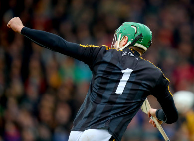 Eoin Murphy celebrates his winning point for Kilkenny.