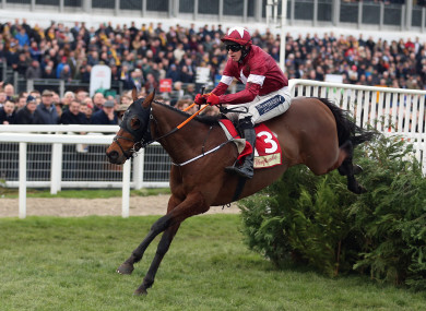 Tiger Roll races to victory at Cheltenham.