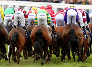 The festival gets underway at Prestbury Park on Tuesday.