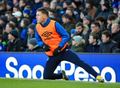 James McCarthy (file pic).