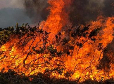 Locals helped firefighters battle the gorse fire.