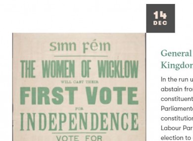 A screenshot of the digital archive preserved on the Dáil100.ie website.