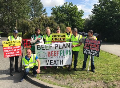 Protestors in Clonee today.