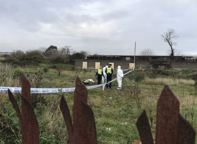 Gardaí at the scene in Ballymun.