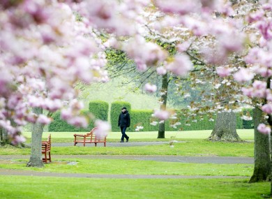 People having their daily excercise at the National War Memorial Gardens.
