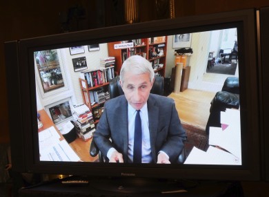 Dr Anthony Fauci, Director of the National Institute of Allergy and Infectious Diseases, speaks remotely during a virtual US Senate committee hearing today.
