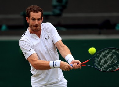 Andy Murray (file pic).