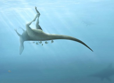 An artist's rendering of what the dinosaur looked like.