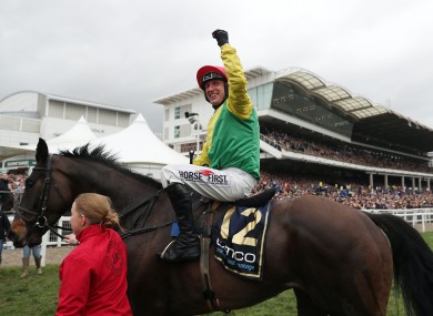 Sizing John, winner of the 2017 Cheltenham Gold Cup, has been retired through injury.