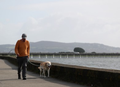 A man walks his dog along the Clontarf promenade.