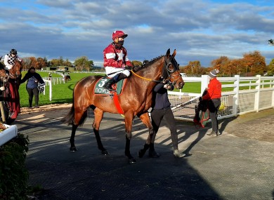 Tiger Roll returns after his run at Navan.