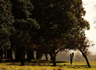 A man lifts a child for a better view on an autumn day in Dublin's Phoenix park.