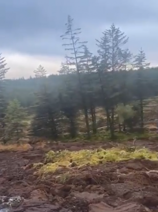 A still from a video showing the bog slippage last week