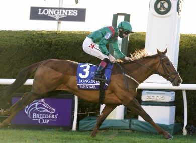 Colin Keane rides Tarnawa to victory.