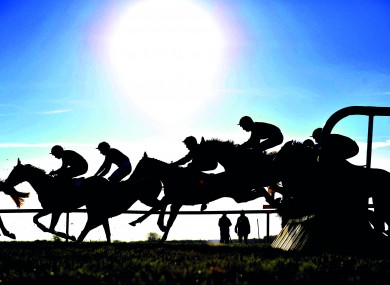 Silhouettes in flight at Fairyhouse.