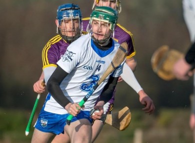 Mark Dalton in action for Waterford.