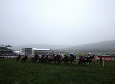 Cheltenham’s Trials Day is off.