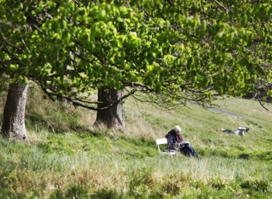 A man reads his newspaper while sitting under a tree in the Phoenix Park Dublin