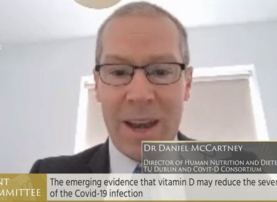 An expert from TU Dublin addressed the committee today.