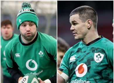 Conor Murray and Johnny Sexton missed last weekend's defeat to France.
