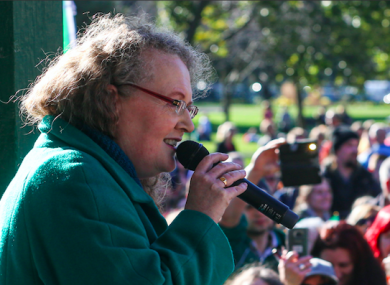 Professor Cahill speaking at the Herbert Park event on St Patrick's Day.