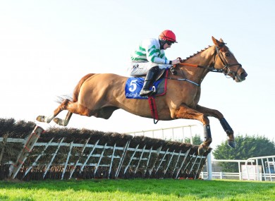 Zanahiyr: Triumph Hurdle favourite will stay with Elliott pending the outcome of Friday's investigation.
