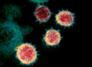 The virus that causes Covid-19