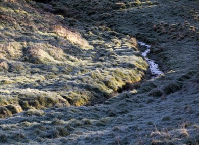 Frost thaws in the Phoenix Park this morning