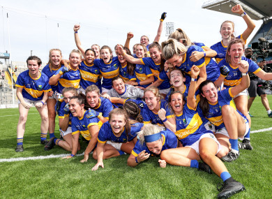Wicklow players celebrate their victory.