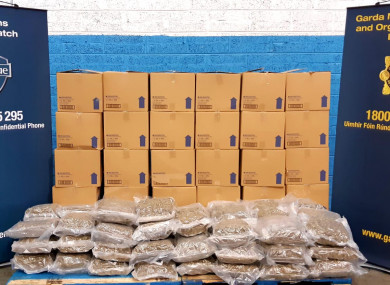 The cannabis seized by gardaí and Revenue yesterday
