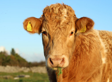 The vast majority of Ireland's methane emissions come from the agriculture sector.