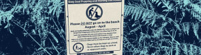 Snap happy tourists harming seals by picking up pups for selfies and flying drones