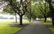 Unsupervised teen charged with stabbing man six times in Dublin park