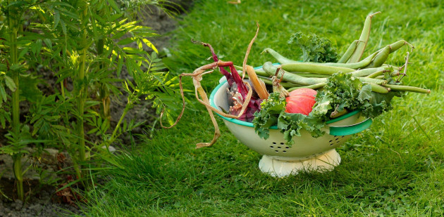 Sorry! Image not available at this time