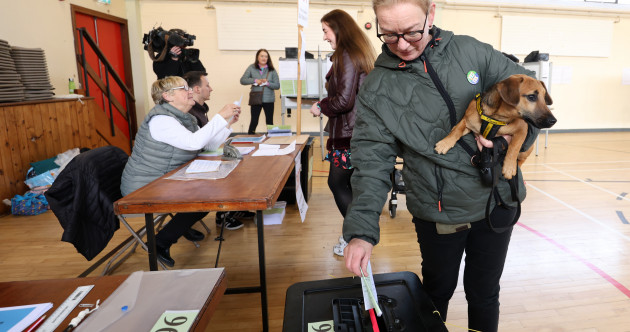 It's (finally) polling day! Here's your guide to voting in the presidential election