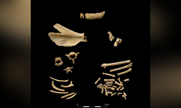 Sorry! Image not available at this time