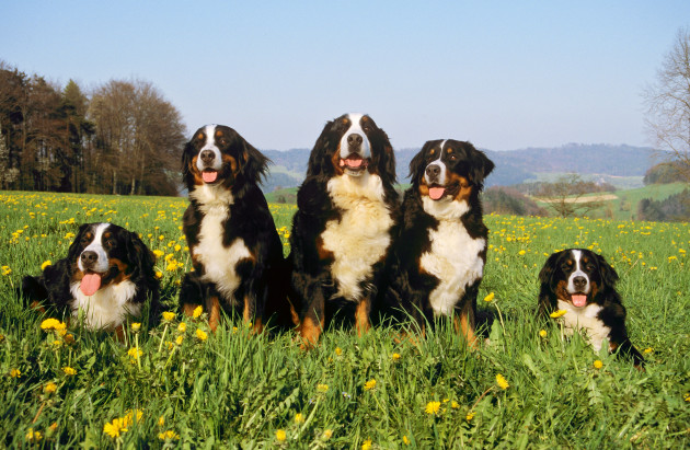 Sorry! Image not available at this time