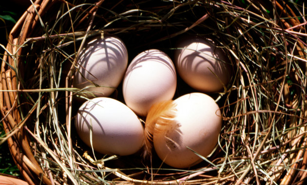 Sorry! Image not available at this time