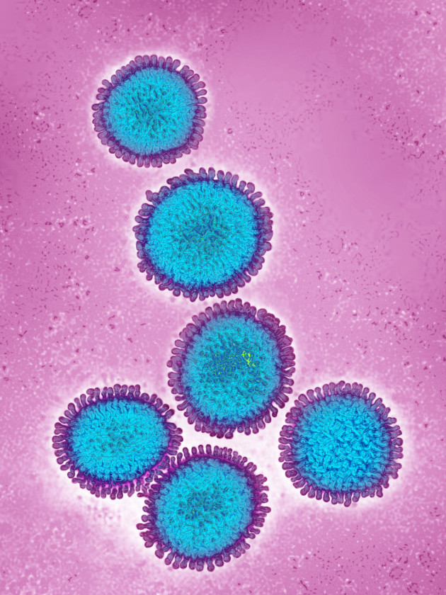 Sorry! Image not available at this time