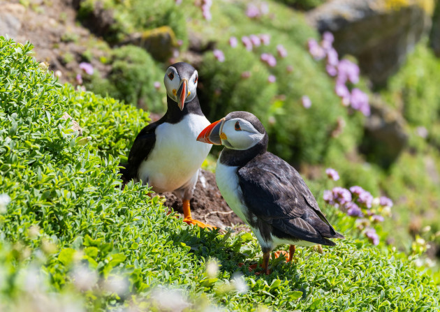 Sorry! Image not available at this time