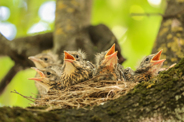 Sorry! Image not available at this time