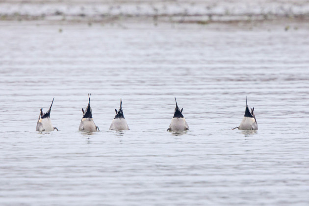 Sorry! Image not available at this time