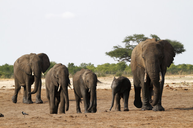 Sorry! Image not available at this time