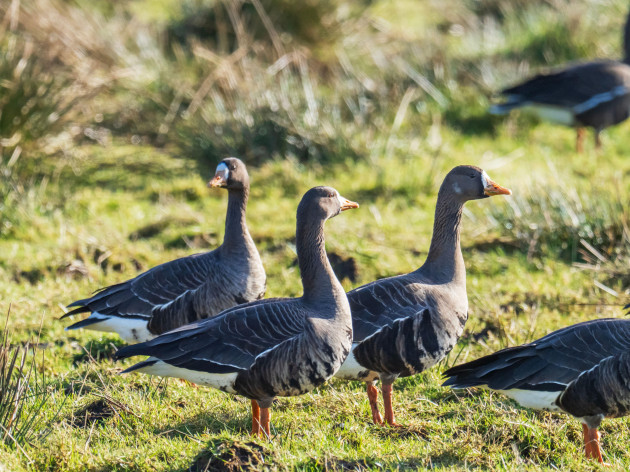 Sorry! Image not available at this time