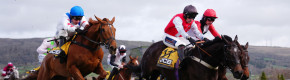 Cheltenham round-up: Willie and Patrick Mullins combine for 50/1 shock Triumph Hurdle win