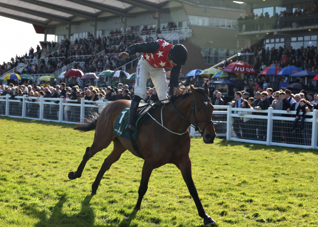 Victory for 22-1 outsider in eventful renewal of WillowWarm Gold Cup at Fairyhouse